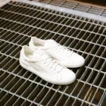 ReignBlanco-02